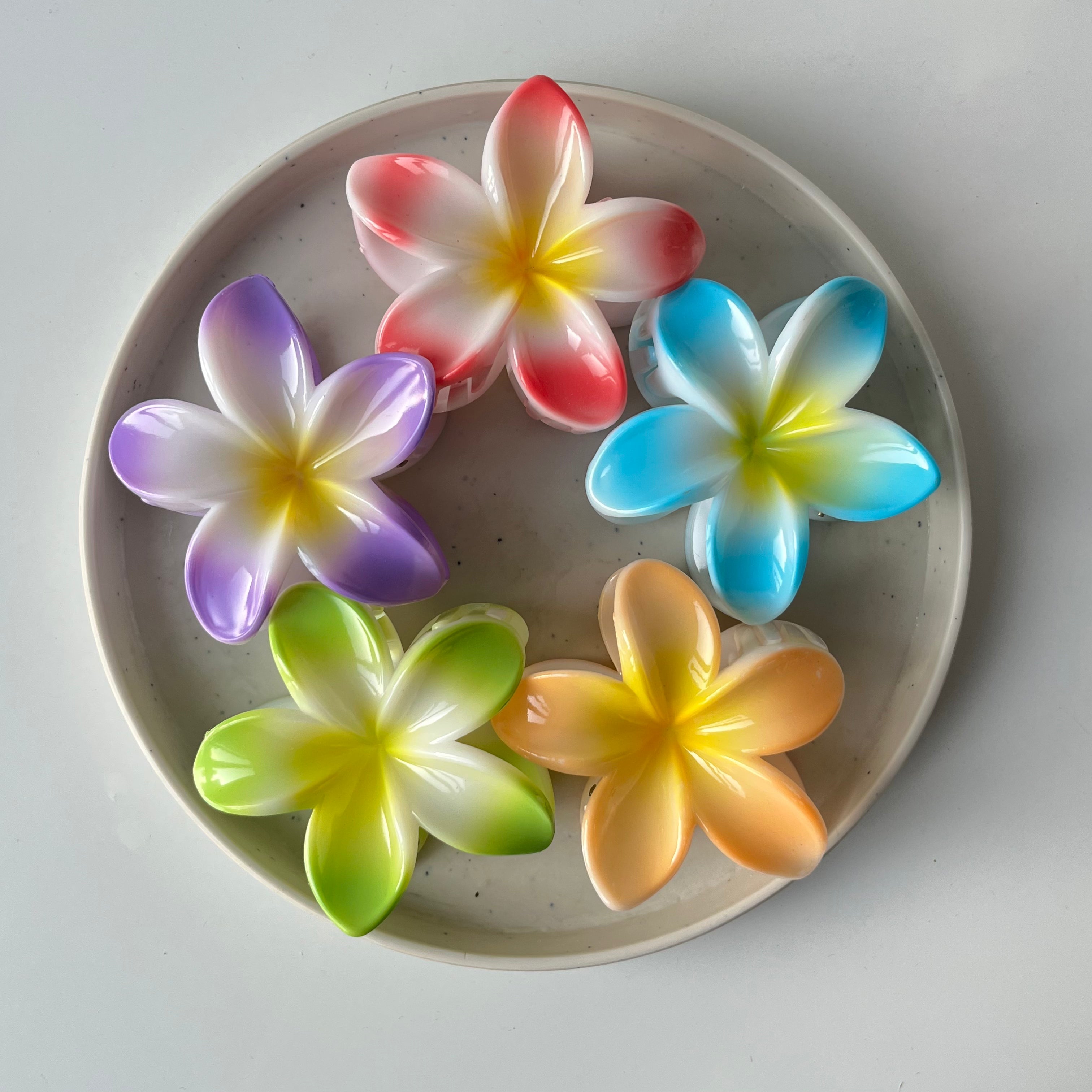 BloomAura – Large Gradient Floral Clip (Vault Set of 5)